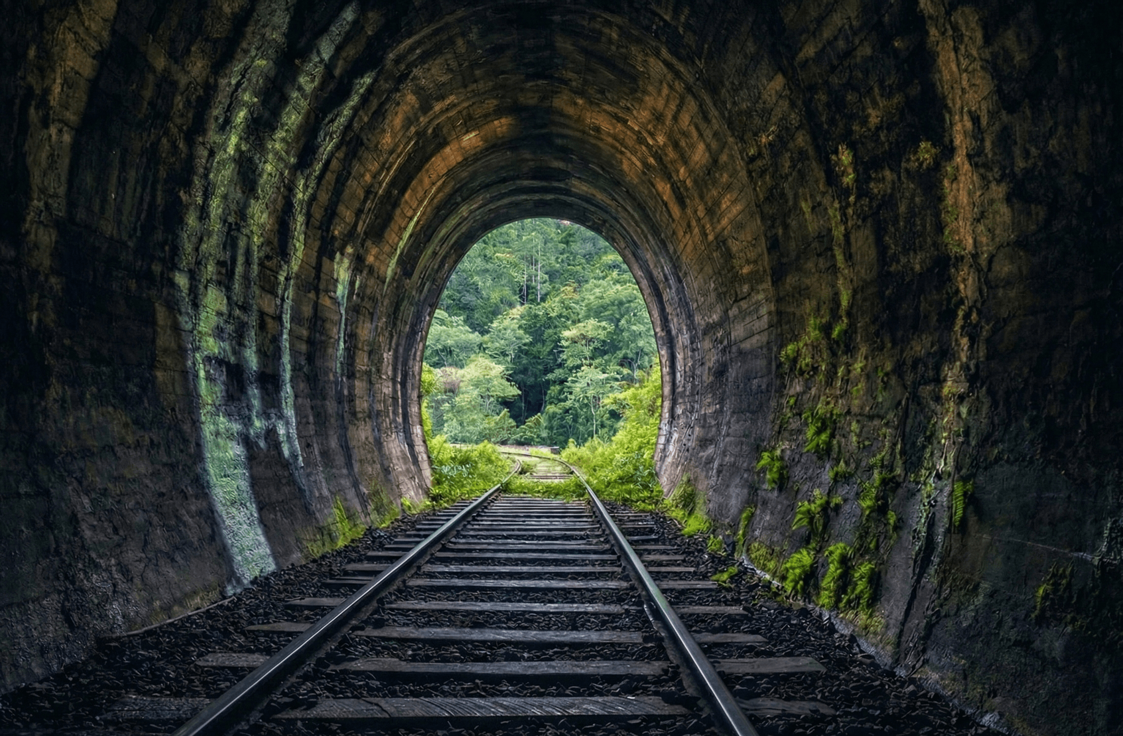 Nature surrounding the bridge